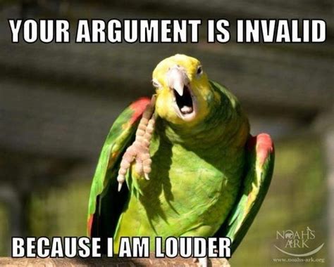 funny parrot meme.